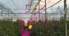 Agri-food cooperatives accelerate their digital leap with artificial intelligence