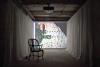 Ellen Pau’s Elegy to a Vanishing Hong Kong