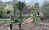 LEBANON BLAST: IDF Says Explosive That Wounded Five Lebanese Soldiers Belonged to Hezbollah
