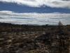British drought raises fears of food shortages as farmers warn of shrinking harvests