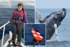 Whale’s dive shapes its song patterns: new research