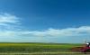 Saskatchewan fields feeling the heat as harvest draws near