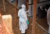 Ebola responders persevere in the DRC as Uganda nears end of outbreak