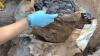 Skull found in shopping bag leads to murderer being caught six years later after chopping up victim’s body