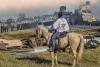 Beyond the Cowboy: Human-horse Solidarity Across Time