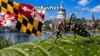 West Nile Virus Returns: Maryland Reports First Confirmed Human Case Of 2026
