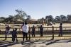 The last trio: S Africa’s zoo elephants await their fate