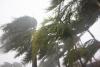 Capital is the catalyst for climate adaptation – not sustainability