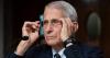 Alabama investigating bringing Fauci before state courts for COVID-19 response after contentious Senate hearing