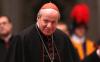 Cardinal: ‘Whoever has the children, has the future’ as Islam surges in Vienna