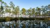 How to visit America’s newest UNESCO World Heritage site