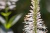 August Gardening: How to Prepare for Fall and Support Milwaukee’s Soil