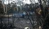 French forest fire reveals dozens of unexploded WWII grenades
