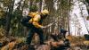 Wildfire personnel from Mexico arrive in B.C.