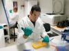 Health News | Scientists Find Molecular Switch That May Explain Ageing's Hidden Trigger for Brain Disease