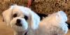 Wisconsin Humane Society donations tripled by private donor groups in August