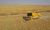 Oman’s agriculture and fisheries sector records growth in Q1 2026