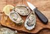 Suffolk ‘Oyster Jamboree’ to showcase aquaculture economy