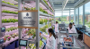 Uconn Advances Controlled Environment AgricultureResearch to Boost Sustainable Food Production