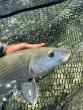 Sugarloaf Showdown Fishing Tournament Returns