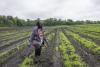 Kenyan sisters who farm in Medina dream big, despite federal cuts for local food