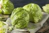 Michigan Reports First Two Deaths in Multistate Cyclospora Outbreak