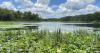 One of the Most Beautiful Lakes in Louisiana Is Surprisingly Overlooked