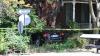 Four hospitalized after car crashes into Detroit home