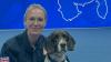 How ‘ruff diamond’ Davey went from unwanted pup with endless energy to Britain’s bravest dog saving lives
