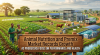 Animal Nutrition and Premix Market Records Growthas Producers Focus on Performance and Health