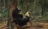 We Hunted a Renegade Black Bear in Arizona’s Rimrock Country