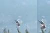 2 Killed as Firefighting Helicopters Collide During Greece Wildfire Operations