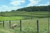 Virginia farmland values continue to climb