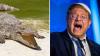 Israeli Court Freezes Ben-Gvir’s Crocodile Plan at Negev Prison Over ‘Risks to Animals’