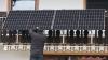 In North Carolina, generators killed lineworkers; plug-in solar hasn't, but lawmakers still hesitate