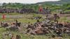 Toxic munitions blamed for higher cancer risk on Puerto Rican island