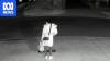 Hit-and-run suspect who stole man's car caught on CCTV