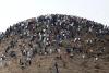 The Hidden Story Behind the Ceuta Migrant Crisis
