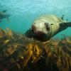 Climate, ocean research slashed under proposed NOAA budget