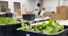 Alabama cyclospora caseload grows as outbreak turns deadly