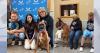 Missing Pennsylvania dog found in Wisconsin; reunited with owners