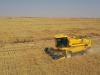 Oman’s agriculture, fishing  sectors record growth in Q1