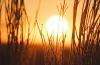 Researchers improve day-ahead solar forecasting by 13%