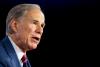 Texas governor puts data center grid approvals on hold