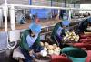 Central bank schemes set to expand SME lending