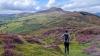 Ancient rocks in Ireland suggest volcanoes pulse between mush and melt before eruptions