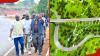 KeNHA issues update on the construction of Nithi Bridge: "Final stages"