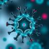 Researchers identify immune “off switch” exploited by cancer cells