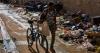 With U.S. doors shutting, Cubans turn to Brazil for asylum