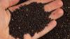 Scientists develop biodegradable food wrap out of rapeseed waste